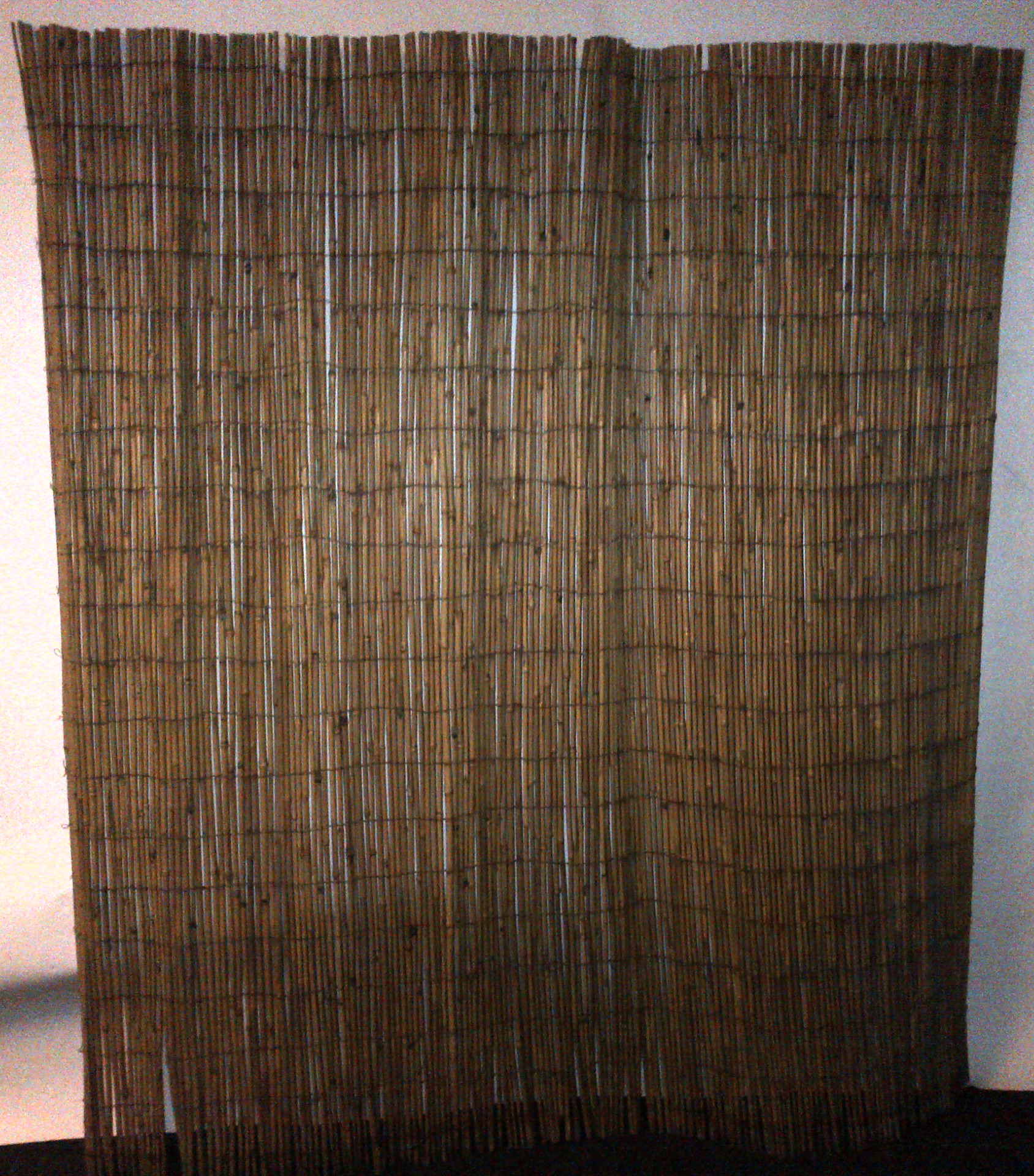 Bamboo Background