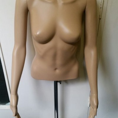 manikin